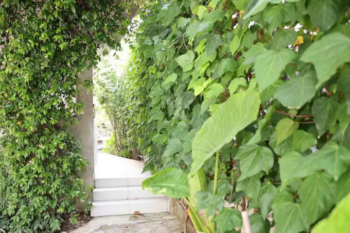 Apartments R&M Tivat Dış mekan fotoğraf